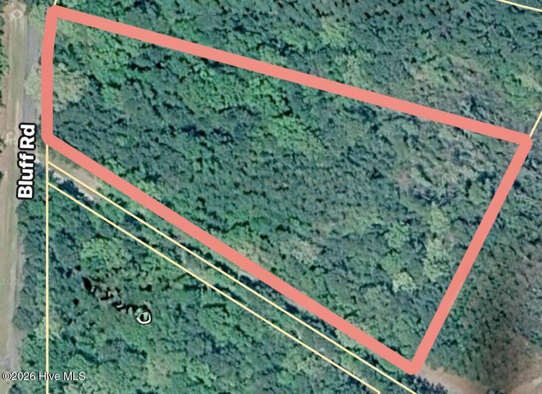 Lot 25 Bluff Road - Photo 1