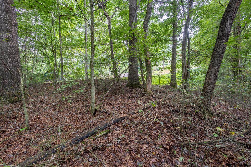 3 AC Chestnut Flats Road - Photo 1