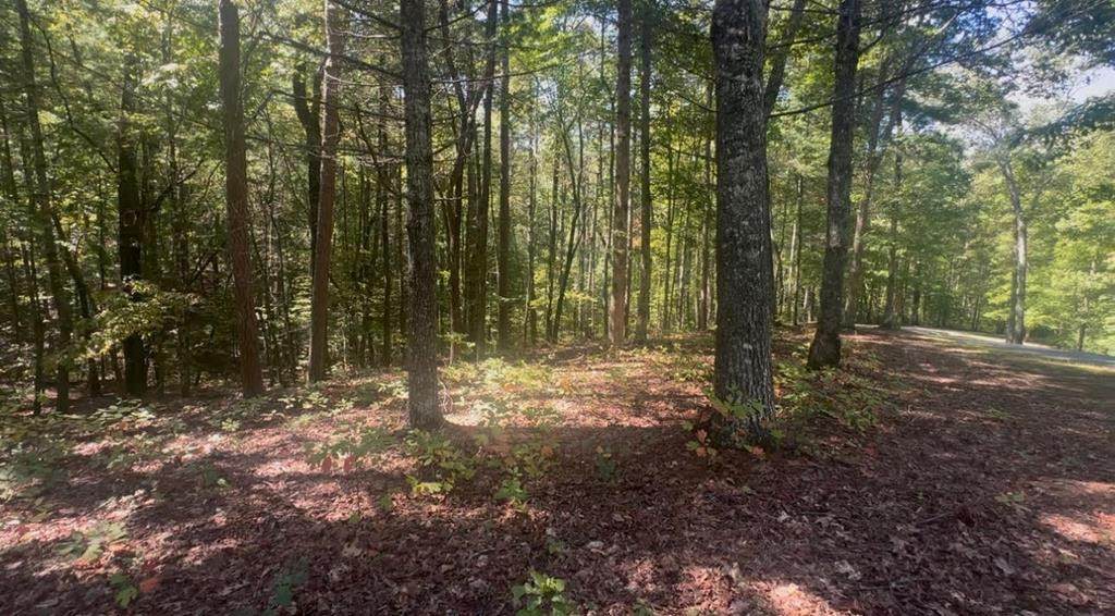 1.81 Ac Nature Valley Trail Trail - Photo 1