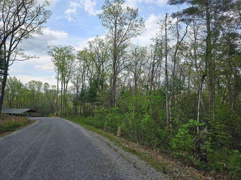Lot 10 Kennedys Court - Photo 1