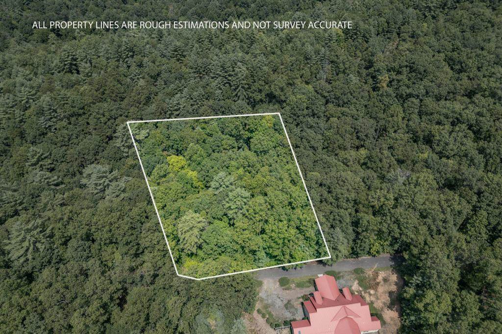 Lot 18 The Ridges Of Carolina - Photo 1