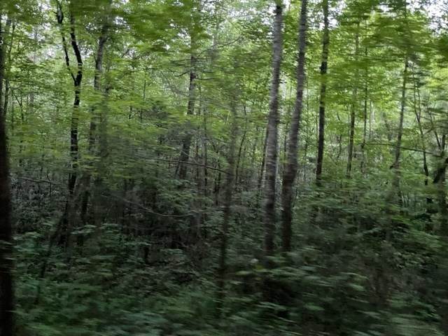https://bt-photos.global.ssl.fastly.net/ncreg/orig_boomver_1_f81024692456d3d48dd2bcdfb73fcbc5-2.jpg