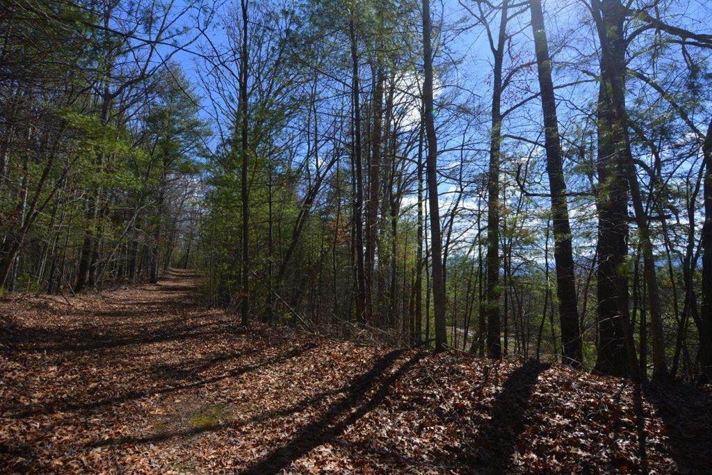 51-53 Hickory Lane - Photo 1