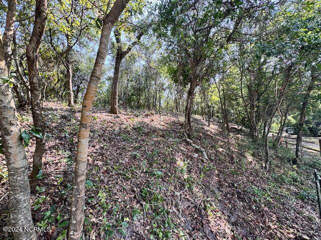 Lot 9-R West Ridge - Photo 1