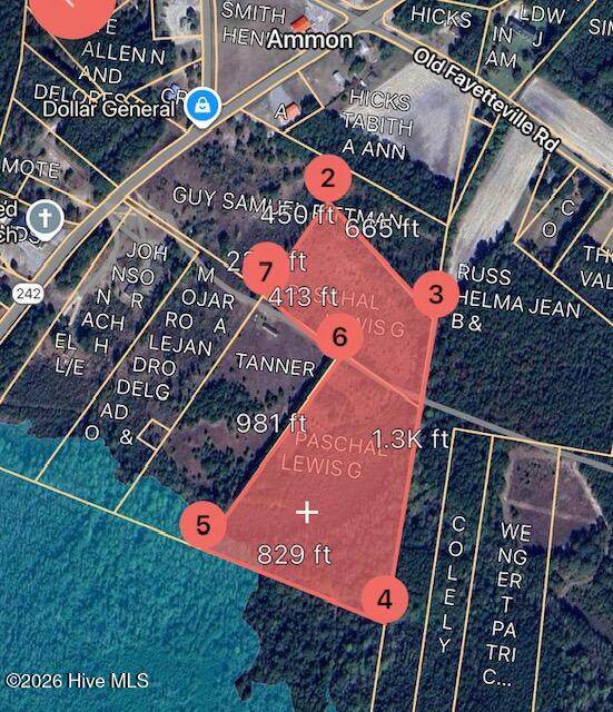 0 Nc Hwy 242 - Photo 1