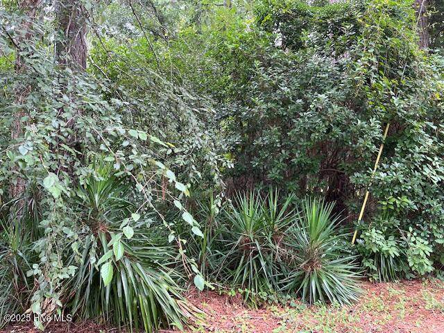 317 Crestwood Circle - Photo 1