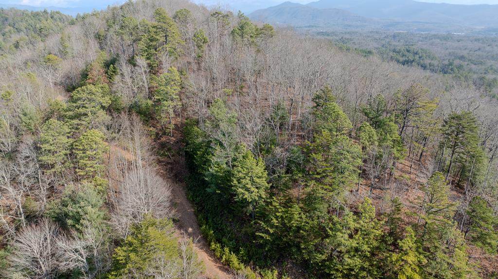 13 Deep Forest Road - Photo 1