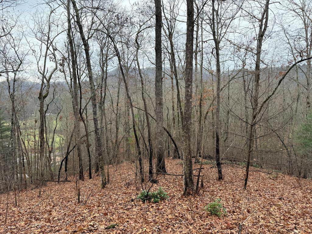 0 Flaming Ridge - Photo 1