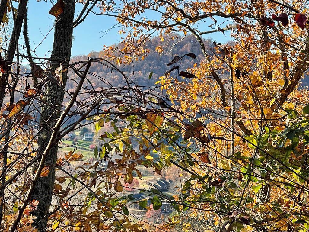 Lot 37m Ridges - Photo 1