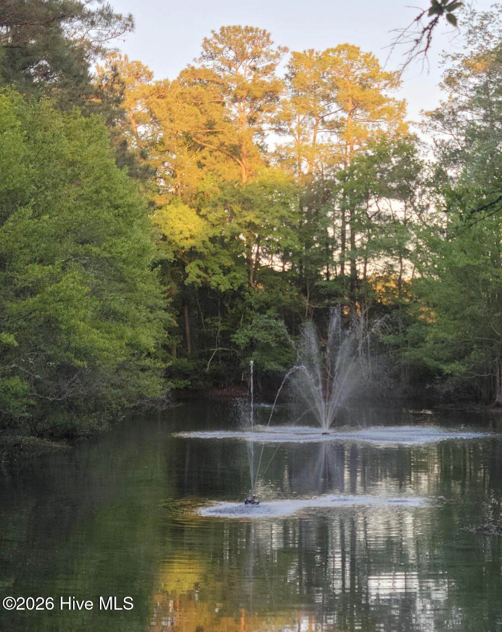 814 Oyster Point Drive - Photo 1