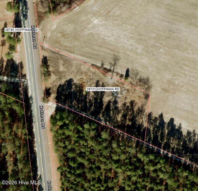 28701 Hoffman Road - Photo 1
