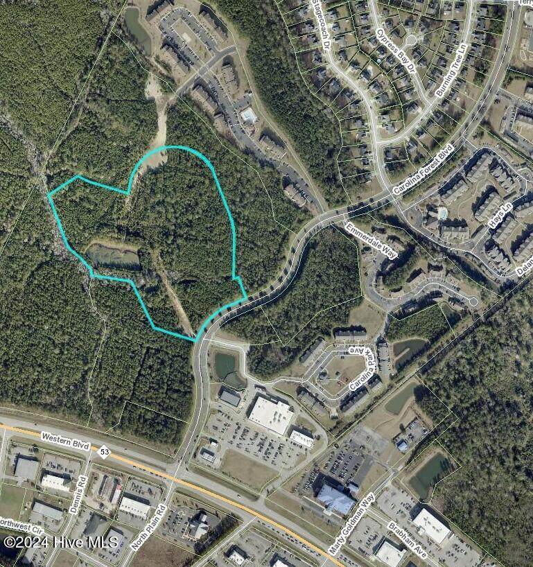 000 Carolina Forest Boulevard - Photo 1