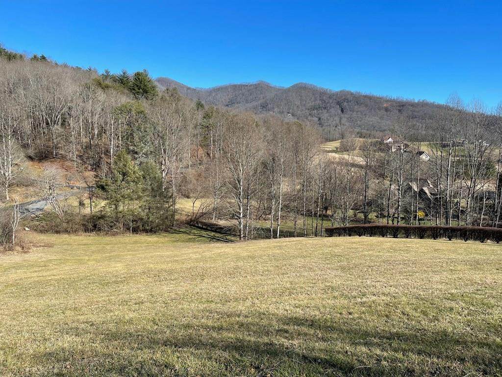 Lot 21c Ash Branch Circle - Photo 1