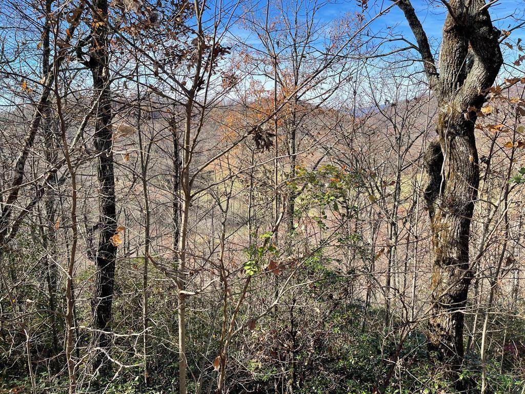 Lot 31j Ash Branch Road - Photo 1