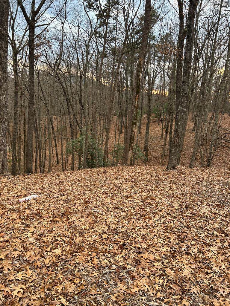 0 Tracks Hollow - Photo 1