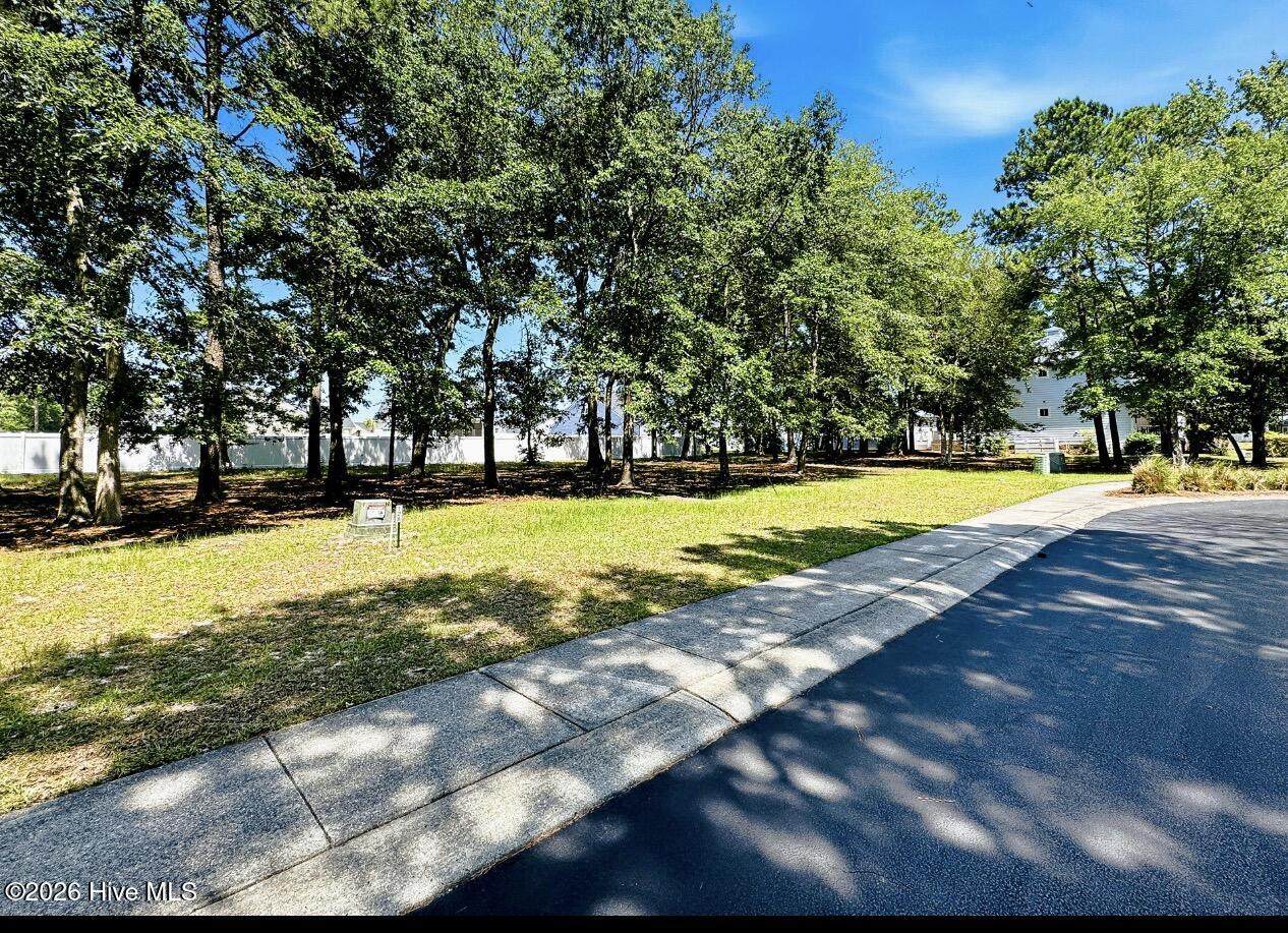 9162 Bramshill Road - Photo 1