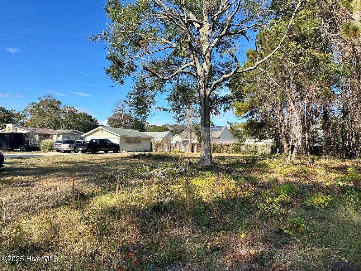 9202 Shady Forest Drive - Photo 1