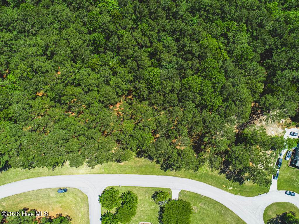 321 Wild Swan Lane - Photo 1