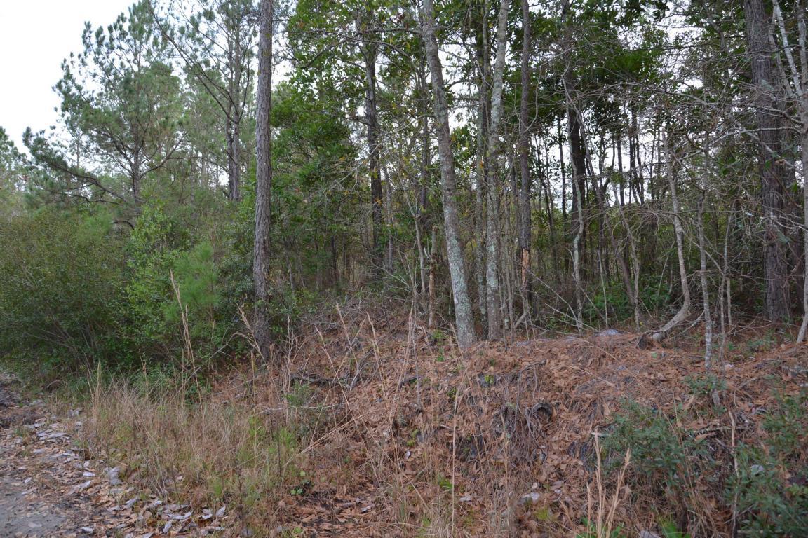 294 Henderson Drive - Photo 1