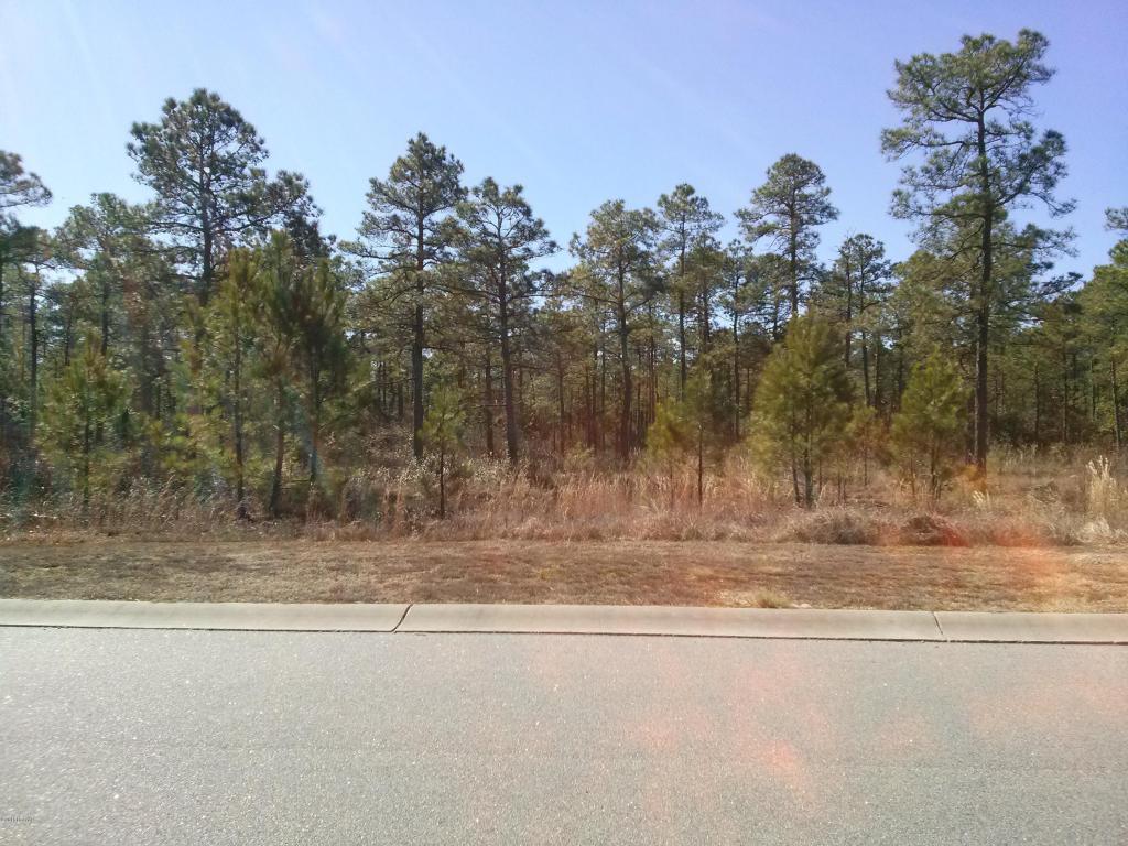 9612 Fallen Pear Lane - Photo 1