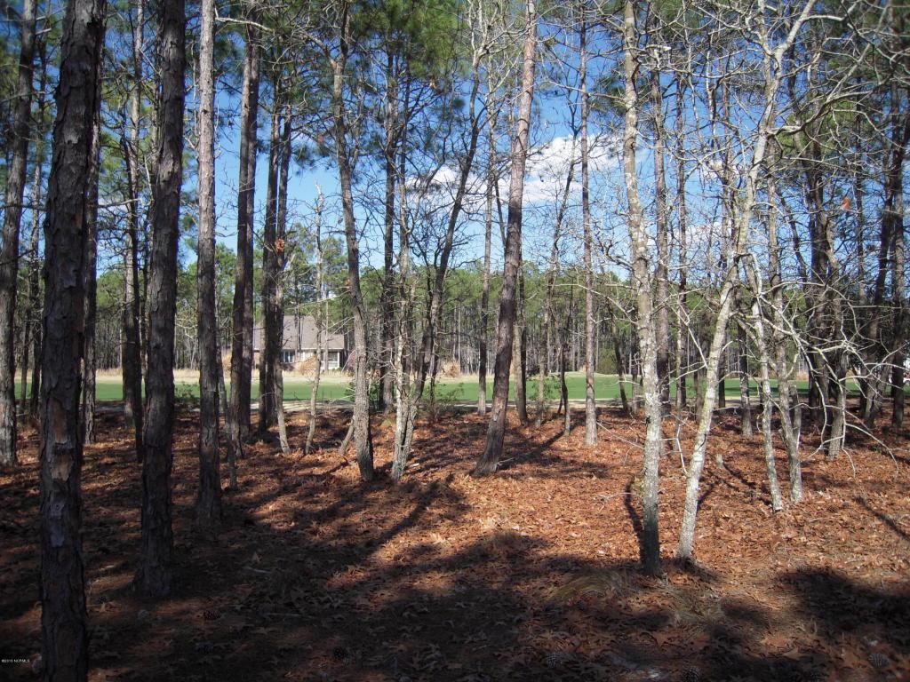 4185 Wyndmere Drive - Photo 1