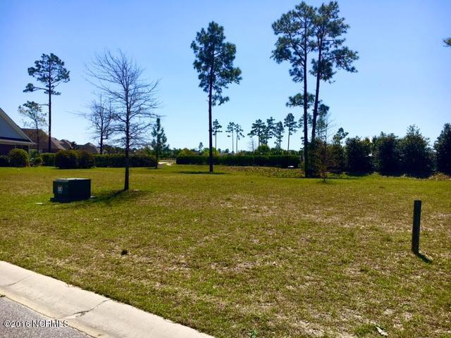 1144 Serotina Drive - Photo 1