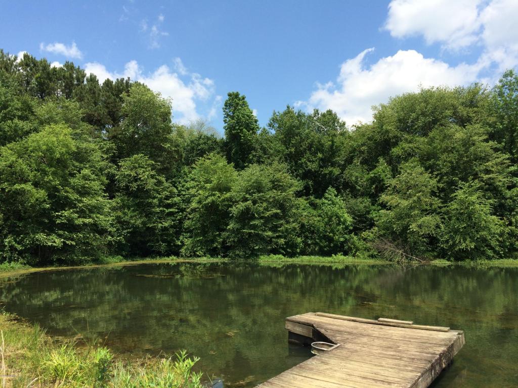 0 John Rich Road, Warsaw, NC 28398 (MLS #100014415) :: Century 21 Sweyer & Associates