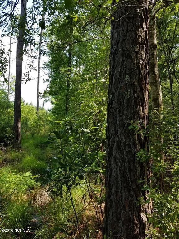 0 Upperneck Road, Bayboro, NC 28515 (MLS #100020853) :: Century 21 Sweyer & Associates