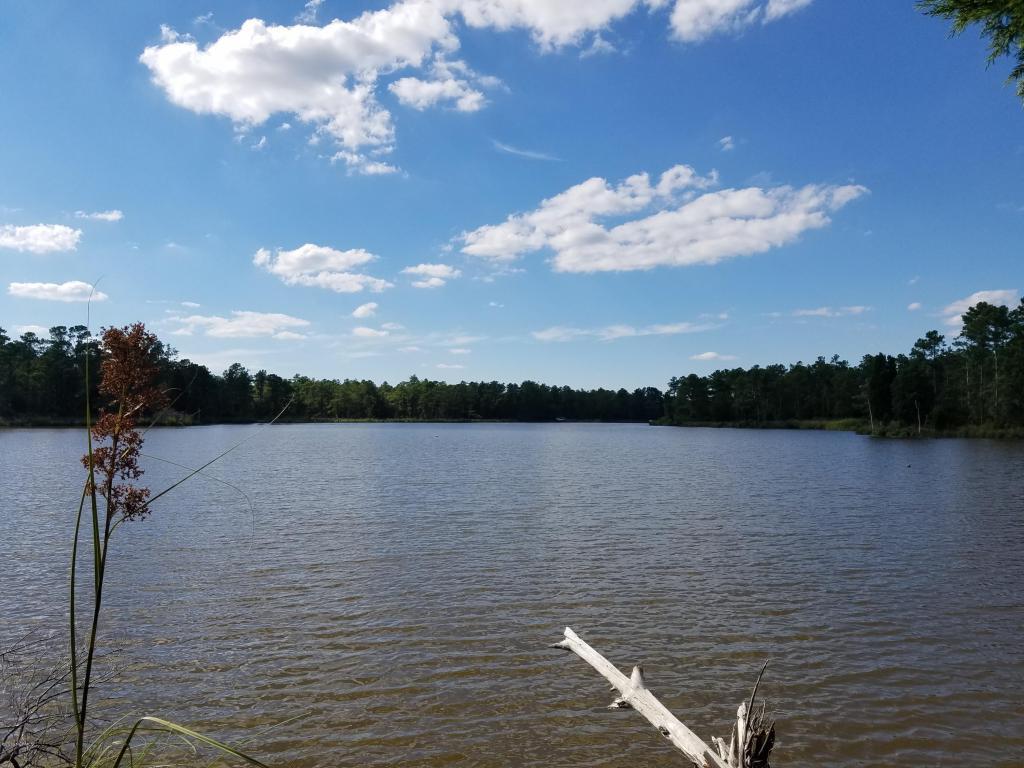 Lot 74 Bailey Pointe Drive - Photo 1