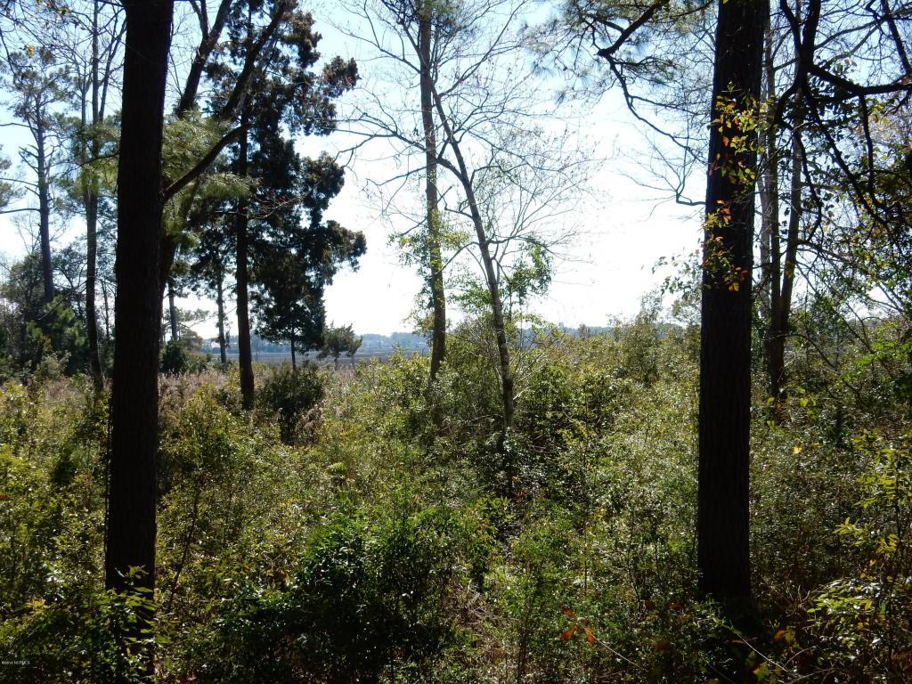 3229 Beaver Creek Drive - Photo 1
