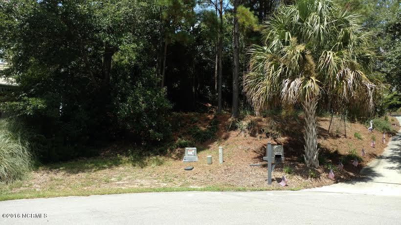 9818 Clarendon Drive - Photo 1