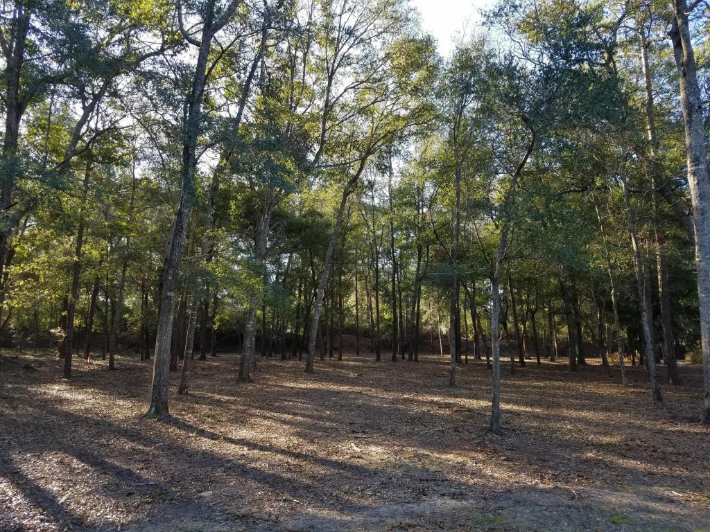 2180 Clambake Court - Photo 1