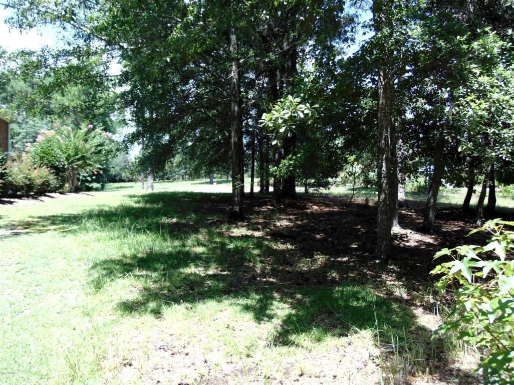 489 Broomsedge Court - Photo 1