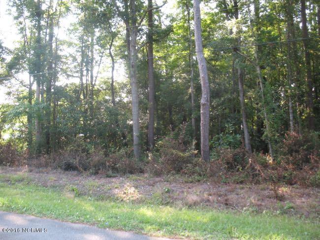 220 Victory Gardens Drive, Wilmington, NC 28409 (MLS #100031488) :: Century 21 Sweyer & Associates