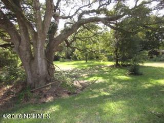 214 Loder Avenue, Wilmington, NC 28409 (MLS #100031969) :: Century 21 Sweyer & Associates