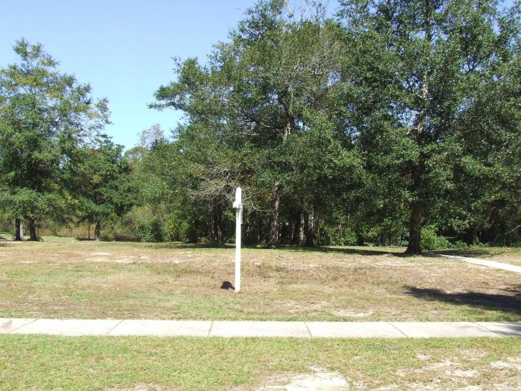 306 Firefly Lane - Photo 1