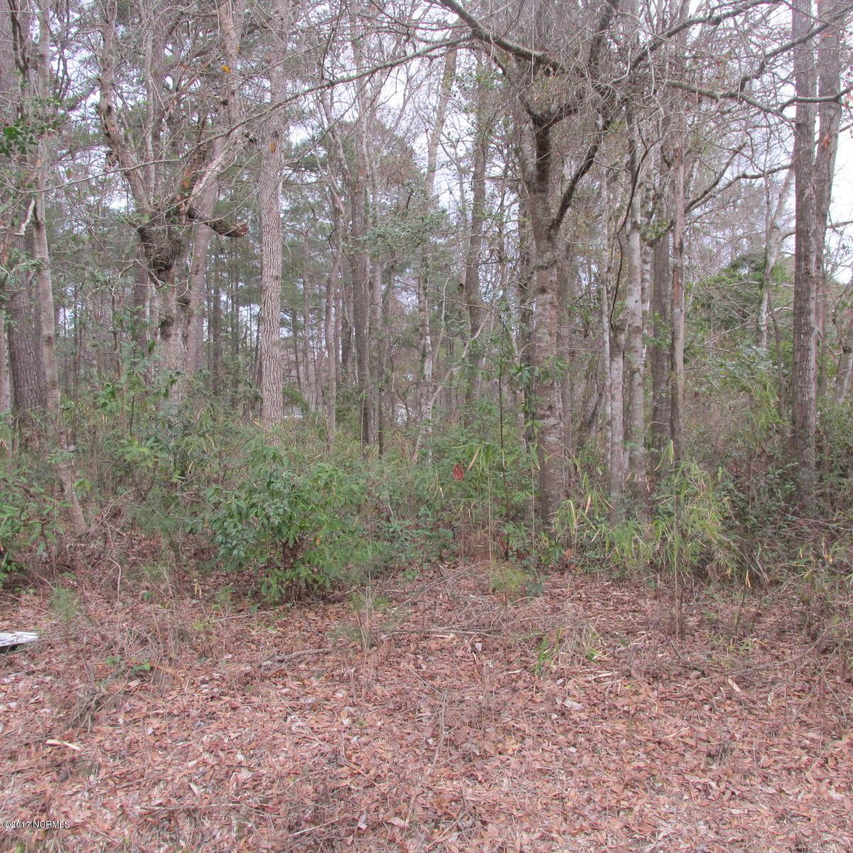 418 Maplewood Drive - Photo 1