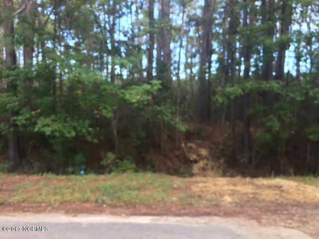 91 Northeast Drive - Photo 1