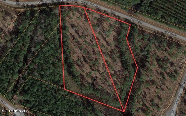 Lots 32/33 Bailey Pointe Drive - Photo 1