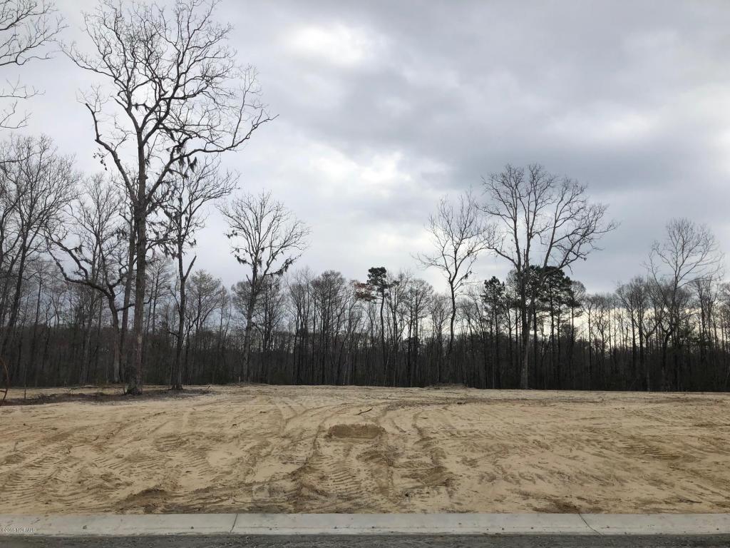 6393 Saxon Meadow Drive - Photo 1