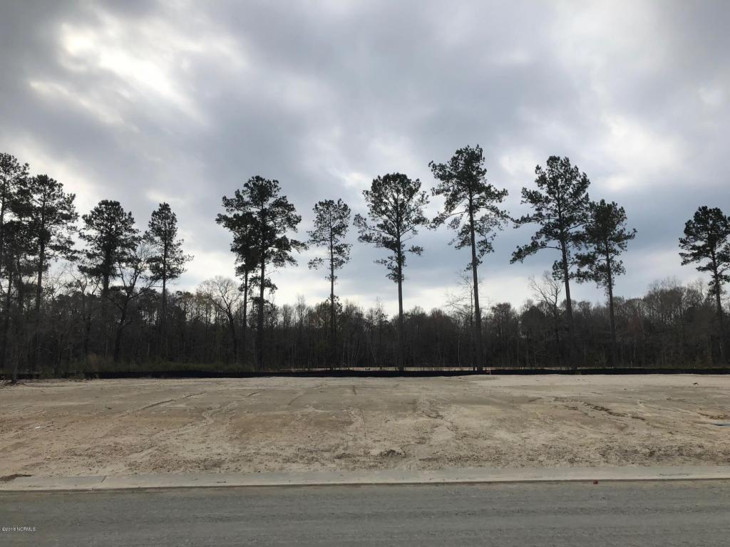 6362 Saxon Meadow Drive - Photo 1