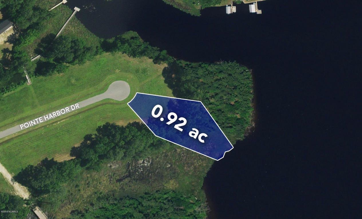 Lot 29 Pointe Harbor Drive - Photo 1