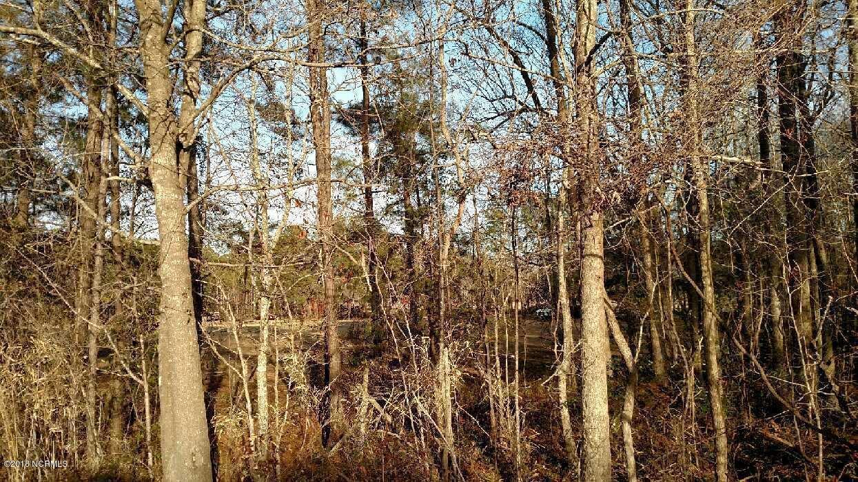 L8 Nc Hwy 50 - Photo 1