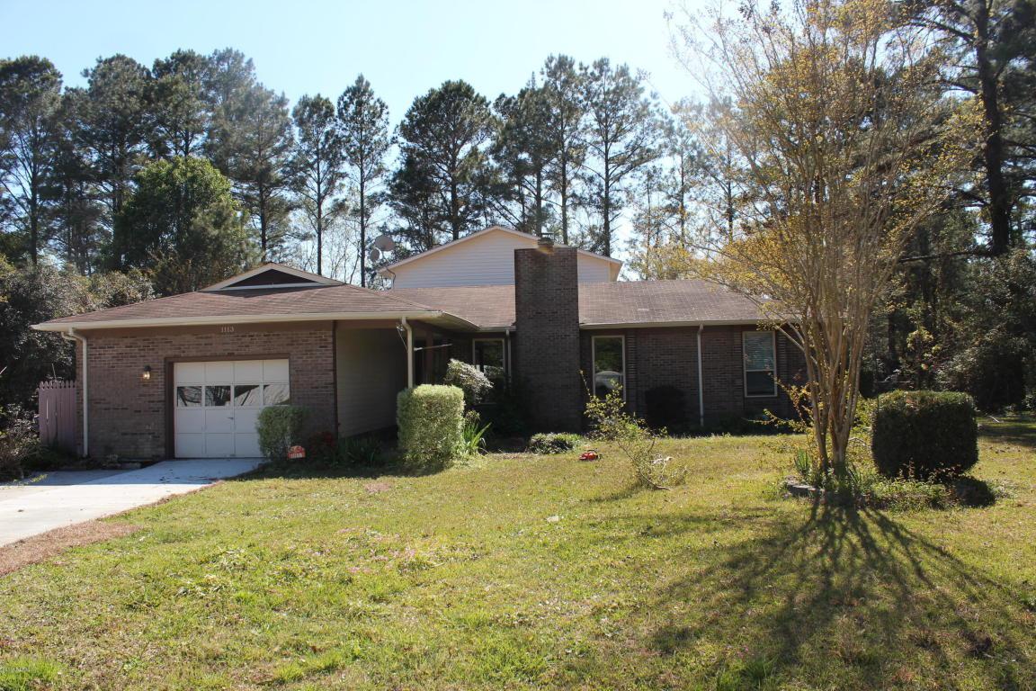 1113 Pine Valley Road - Photo 1