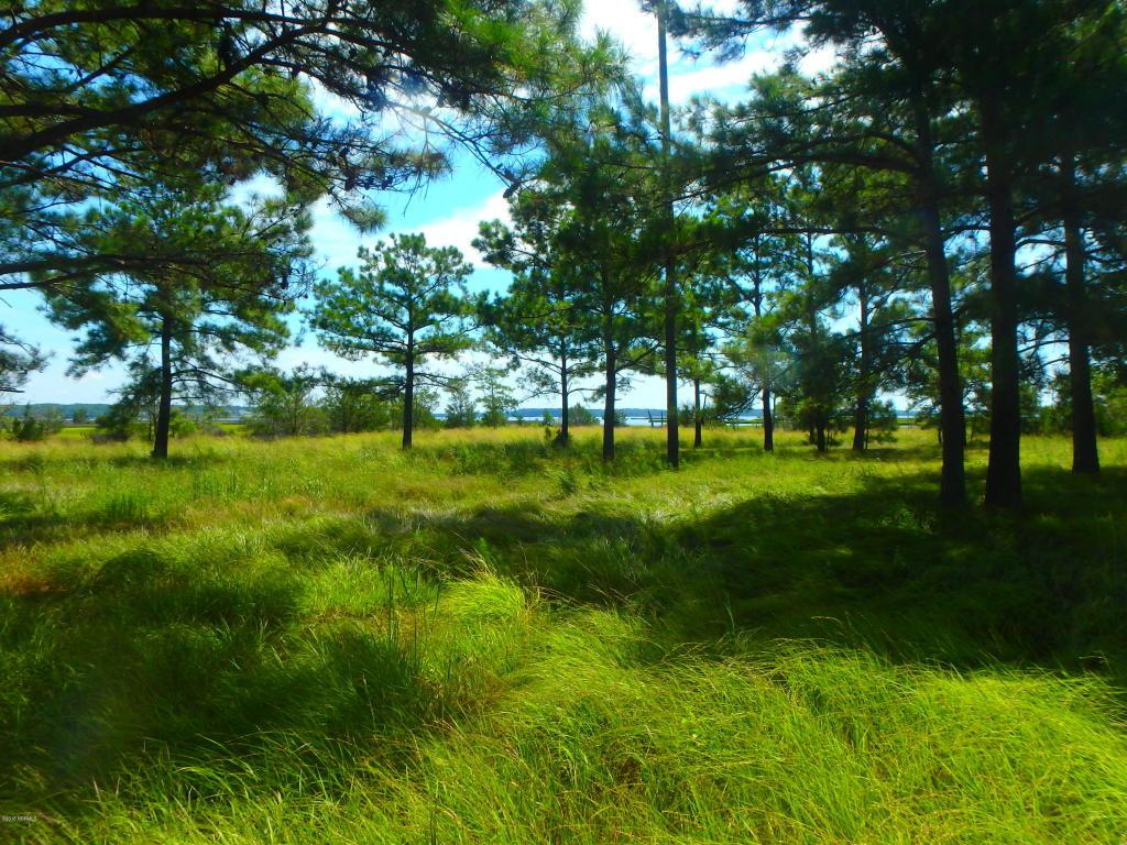 Tbd Plantation Lane - Photo 1