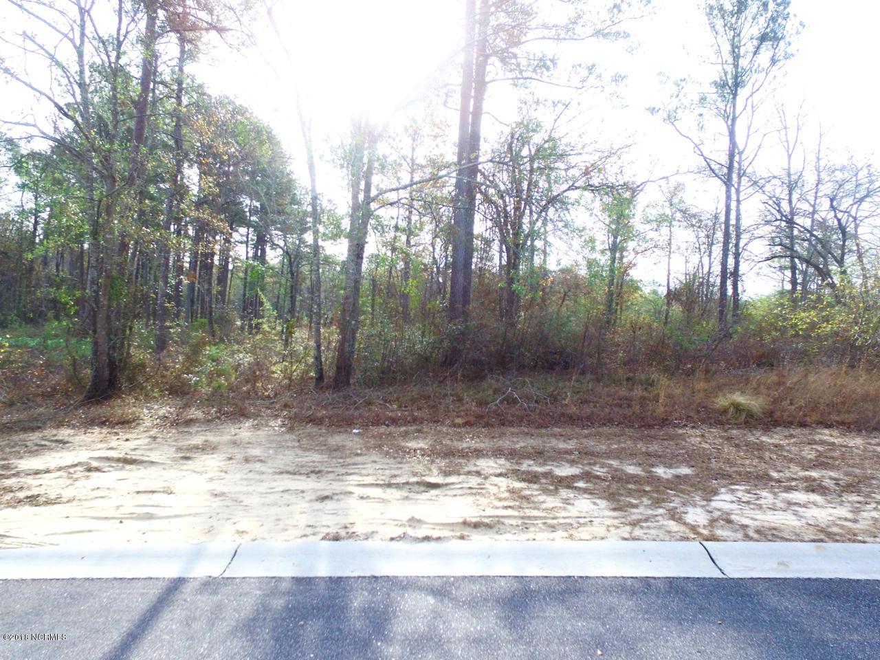 9682 Sweet Apple Lane - Photo 1