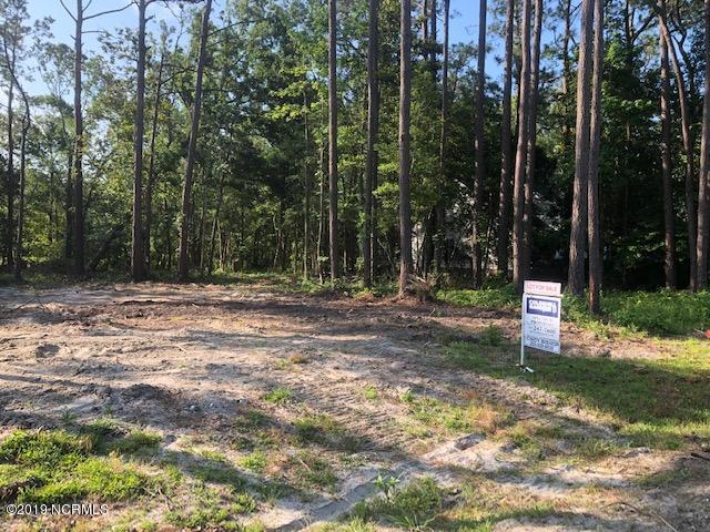 109 Wild Magnolia Drive - Photo 1