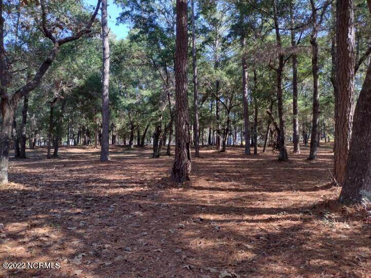 3204 Island Drive - Photo 1