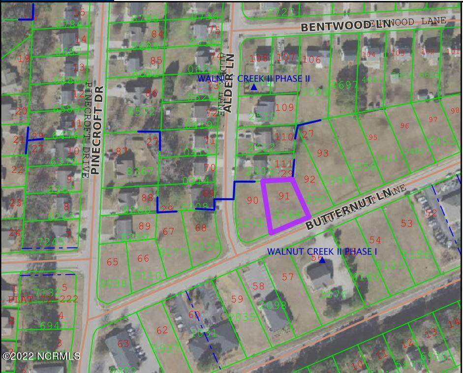 209 Butternut Lane - Photo 1