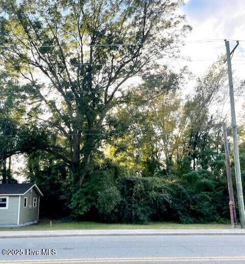 Lot 53 Pine Street - Photo 1